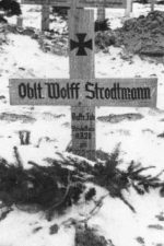 strodtmann-wolff-grabfoto