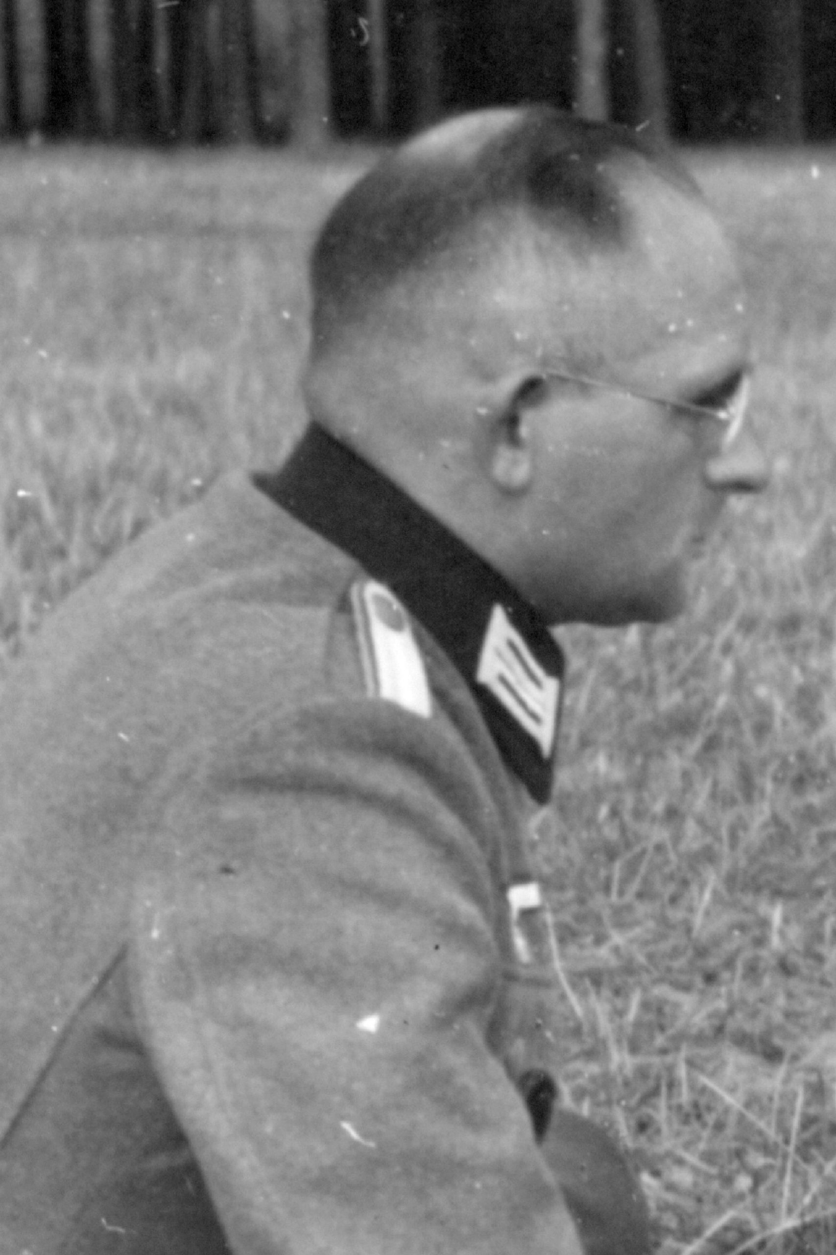 Zimmermann Willi